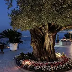 Raito Wellness & Vietri